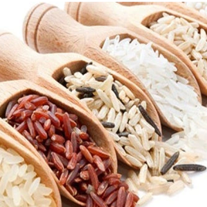 Lúa gạo thượng hạng 123